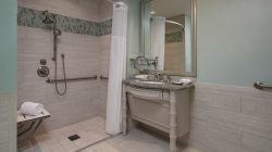 Shower and vanity